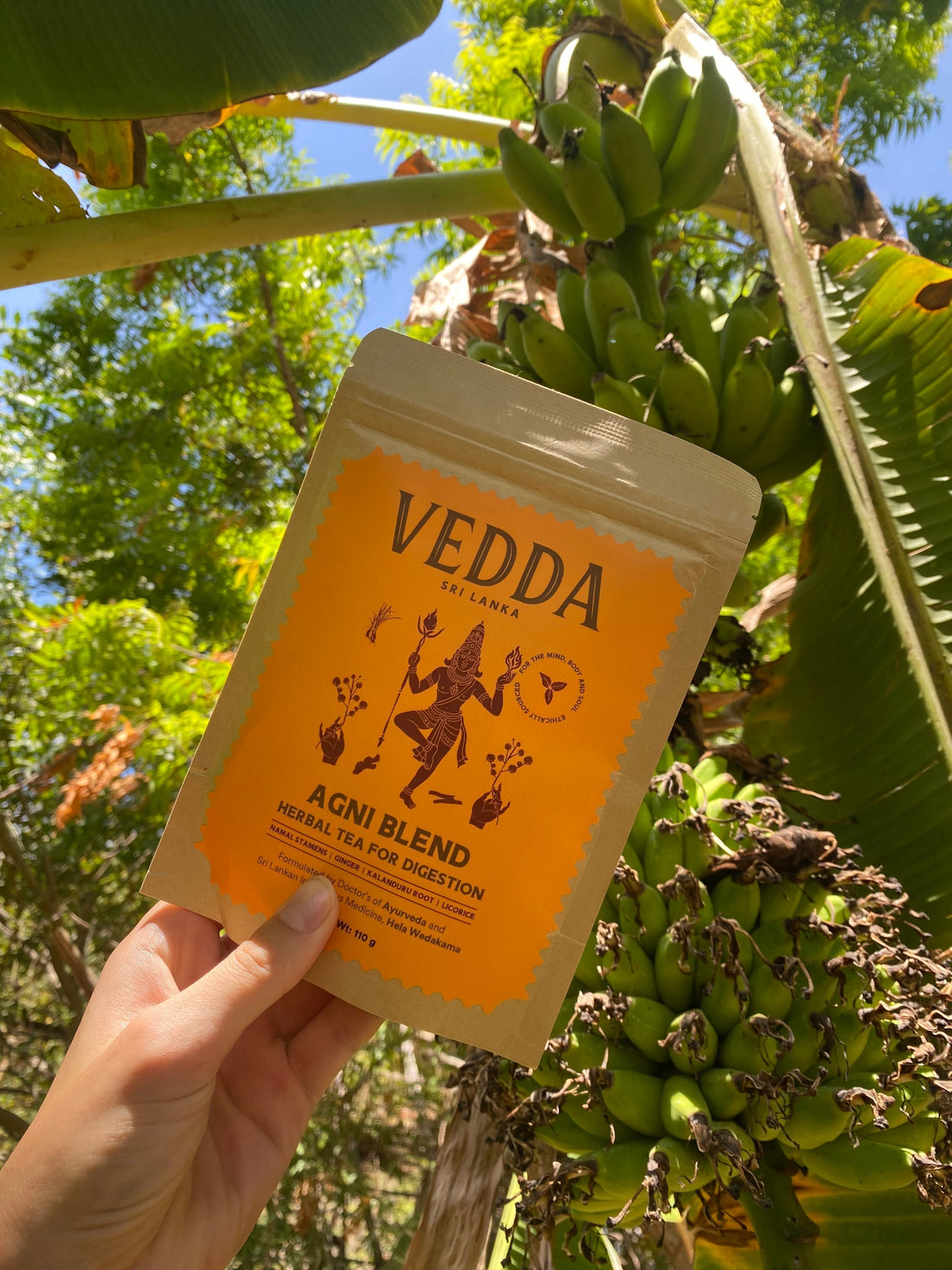 From Sri Lankan Soil to Your Cup: The Journey of Our Tea Ingredients