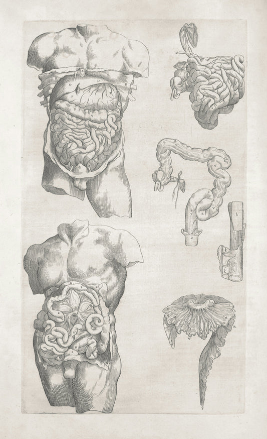 What is Agni in Ayurveda? A practical guide to your digestive fire
